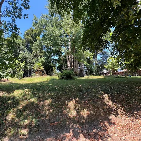 Holiday home Havre De Paix 8 Pers A *